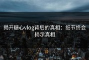 揭开糖心vlog背后的真相：细节终会揭示真相