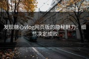 发现糖心vlog网页版的隐秘魅力：细节决定成败