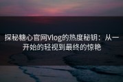 探秘糖心官网Vlog的热度秘钥：从一开始的轻视到最终的惊艳