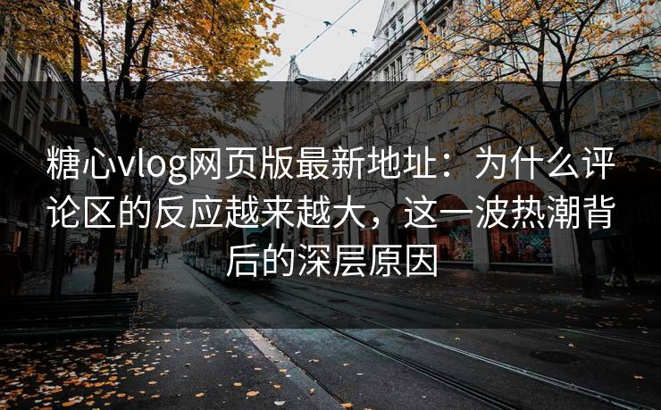 糖心vlog网页版最新地址：为什么评论区的反应越来越大，这一波热潮背后的深层原因