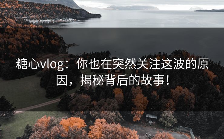 糖心vlog：你也在突然关注这波的原因，揭秘背后的故事！