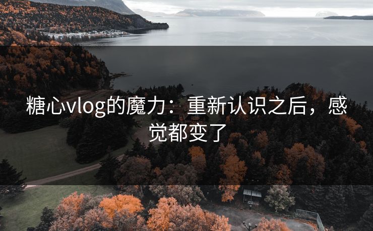 糖心vlog的魔力：重新认识之后，感觉都变了