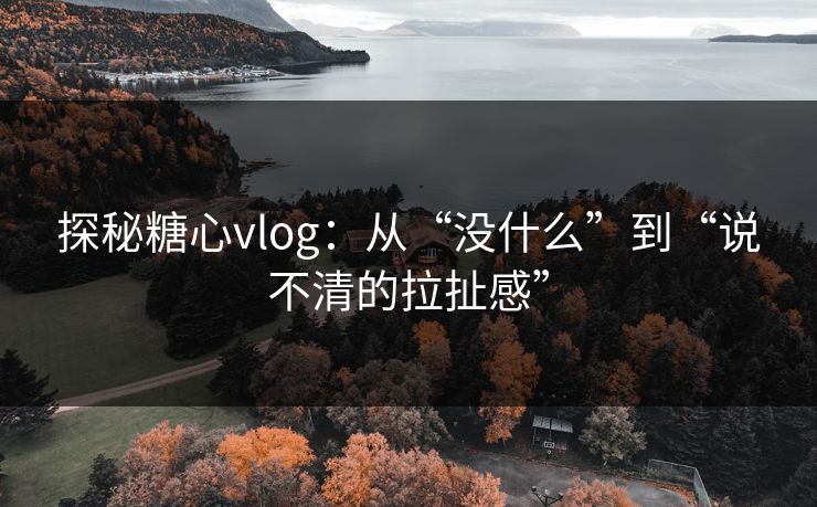 探秘糖心vlog：从“没什么”到“说不清的拉扯感”