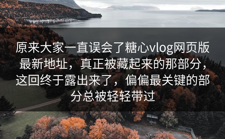 原来大家一直误会了糖心vlog网页版最新地址，真正被藏起来的那部分，这回终于露出来了，偏偏最关键的部分总被轻轻带过
