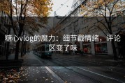 糖心vlog的魔力：细节戳情绪，评论区变了味
