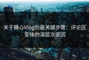 关于糖心Vlog的最关键步骤：评论区变味的深层次原因