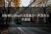 探秘糖心Vlog的深层魅力：热度背后的真相