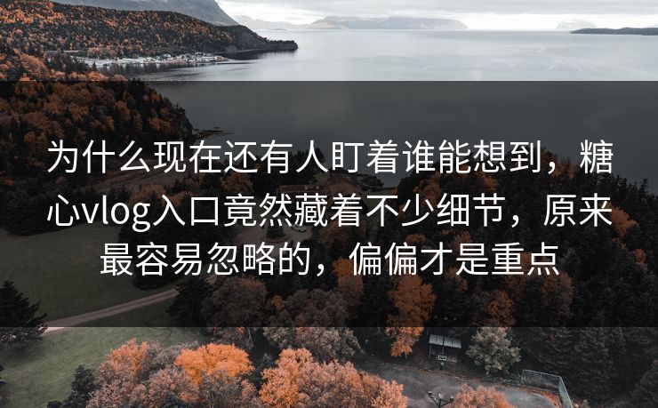 为什么现在还有人盯着谁能想到，糖心vlog入口竟然藏着不少细节，原来最容易忽略的，偏偏才是重点