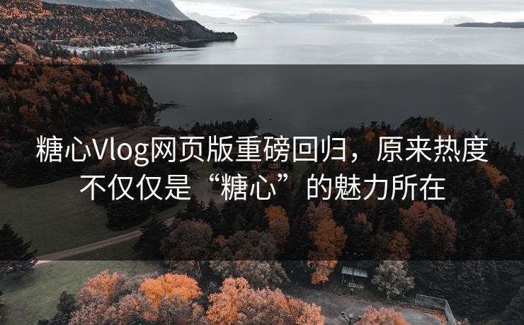 糖心Vlog网页版重磅回归，原来热度不仅仅是“糖心”的魅力所在