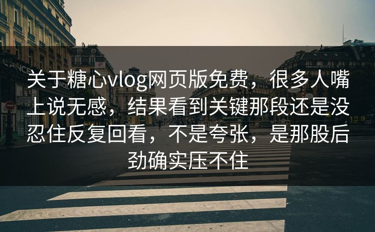 关于糖心vlog网页版免费，很多人嘴上说无感，结果看到关键那段还是没忍住反复回看，不是夸张，是那股后劲确实压不住