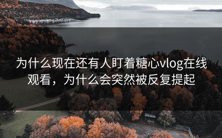 为什么现在还有人盯着糖心vlog在线观看，为什么会突然被反复提起