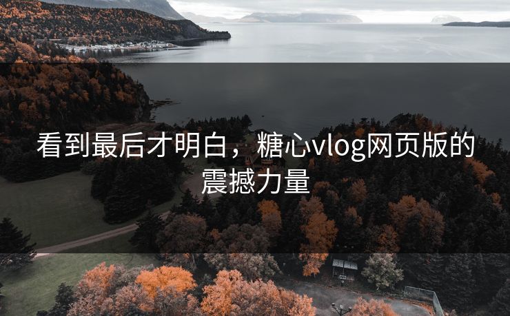 看到最后才明白,糖心vlog网页版的震撼力量 看到最后才明白,糖心vlog网页版的震撼力量