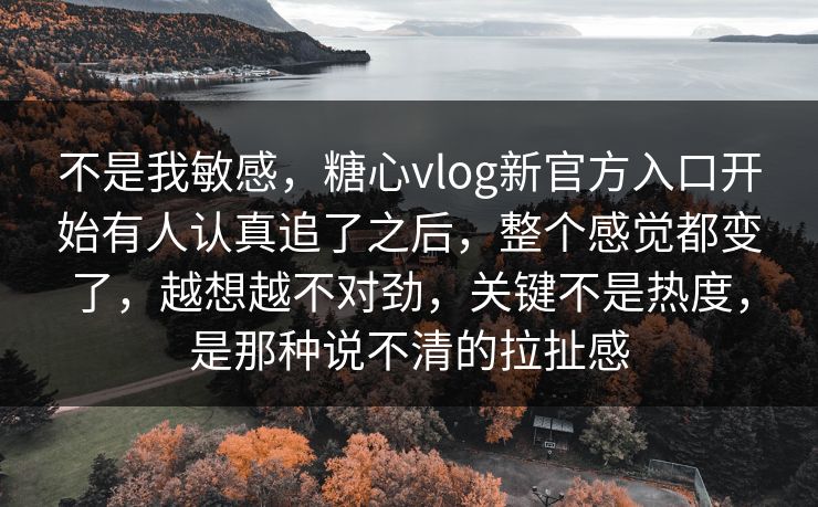 不是我敏感，糖心vlog新官方入口开始有人认真追了之后，整个感觉都变了，越想越不对劲，关键不是热度，是那种说不清的拉扯感
